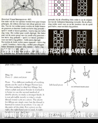 棒槌蕾丝