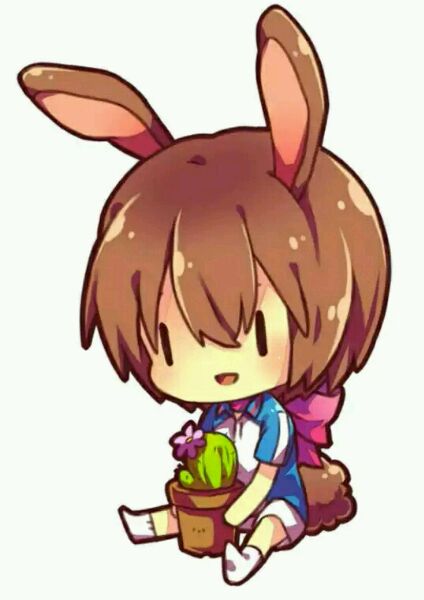 网球王子不二周助