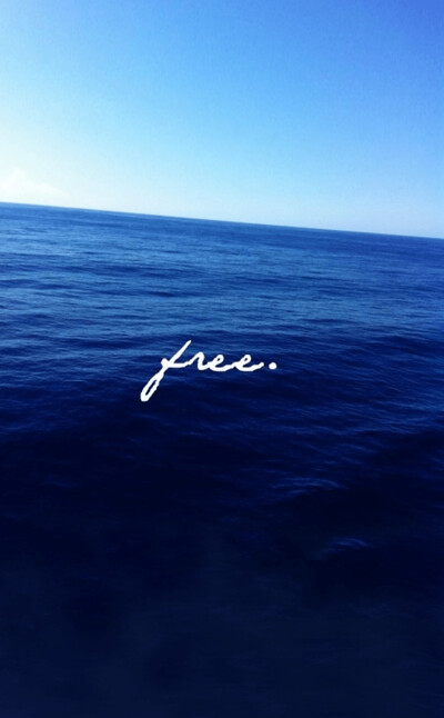 壁纸 自由 大海 free