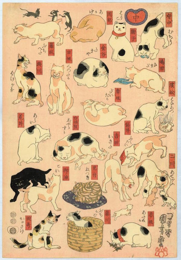 浮世绘 猫 手绘 和风 日本 东瀛 刺青 纹身 武士 个性