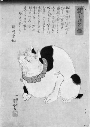 浮世绘 猫 猫咪 喵喵 喵星人 手绘 和风 日本 东瀛 个性的喵星人