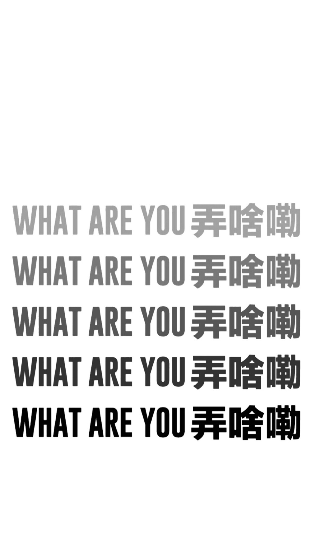 平铺直叙的壁纸。what are you 弄啥咧