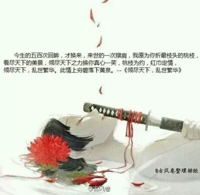 那些小说中的文字