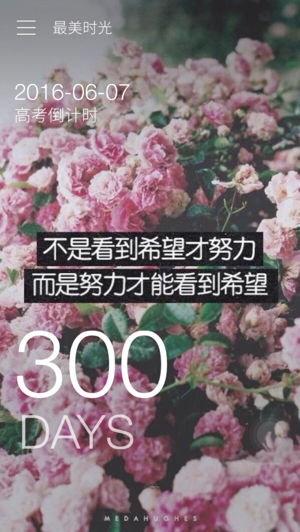 距我的高考还有300天