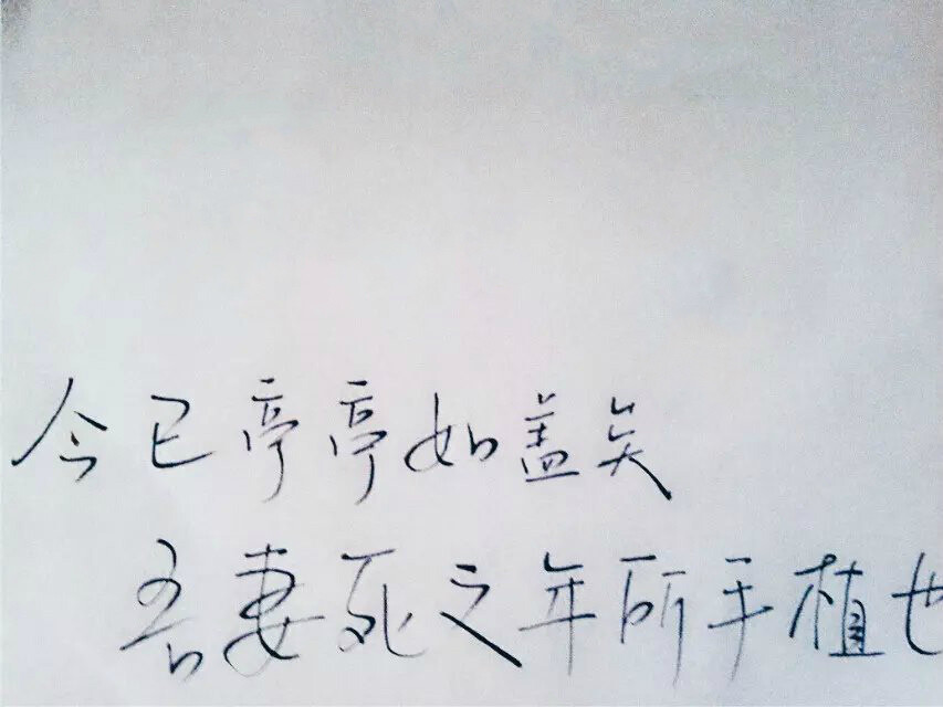 阿衡喜欢的文章~