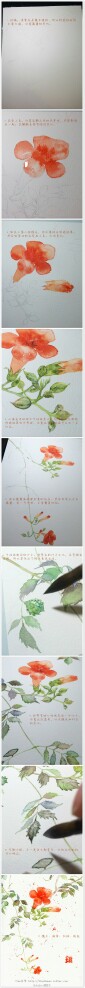 水彩教程