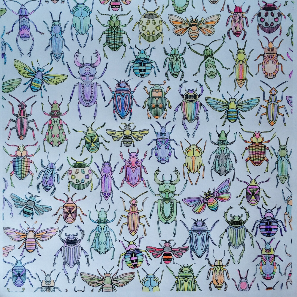 秘密花园昆虫图