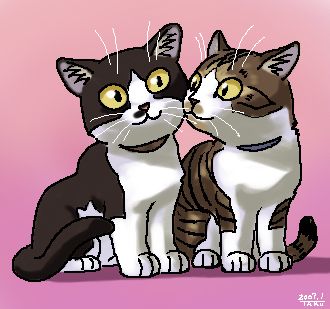 憨态可掬的猫咪 ~ matataku插画作品