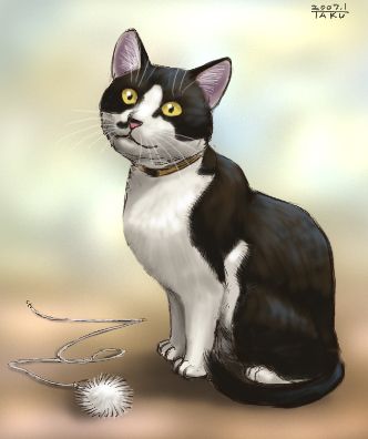 憨态可掬的猫咪 ~ matataku插画作品