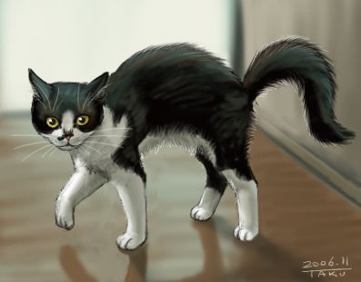 憨态可掬的猫咪 ~ matataku插画作品