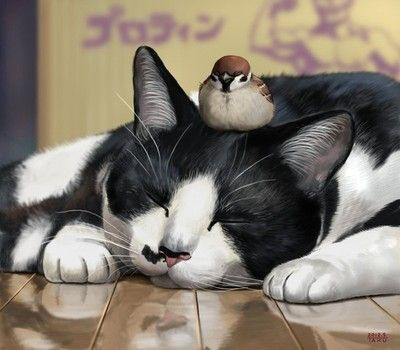 憨态可掬的猫咪 ~ matataku插画作品