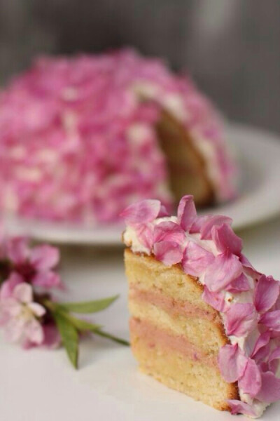 樱桃海绵蛋糕，满满的多层芝士酱和草莓酱。