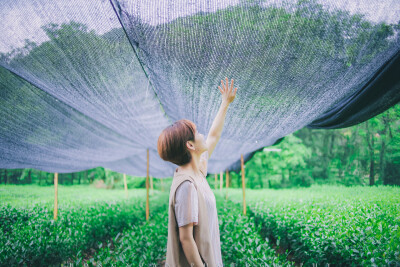 茶园混着柠檬香
摄影：洪小漩
出镜：安生
我特意去找了张峻宁的《柠檬》来听，好久没有听这样温温柔柔的歌。
最近工作压力特别大，我每天上下班路上都拿着大张伟的专辑给自己补血，但是血槽还是不够。
我对自己…