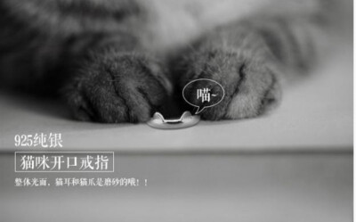 哈哈万恶的猫爪爪