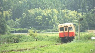 日剧【拿破仑之村】