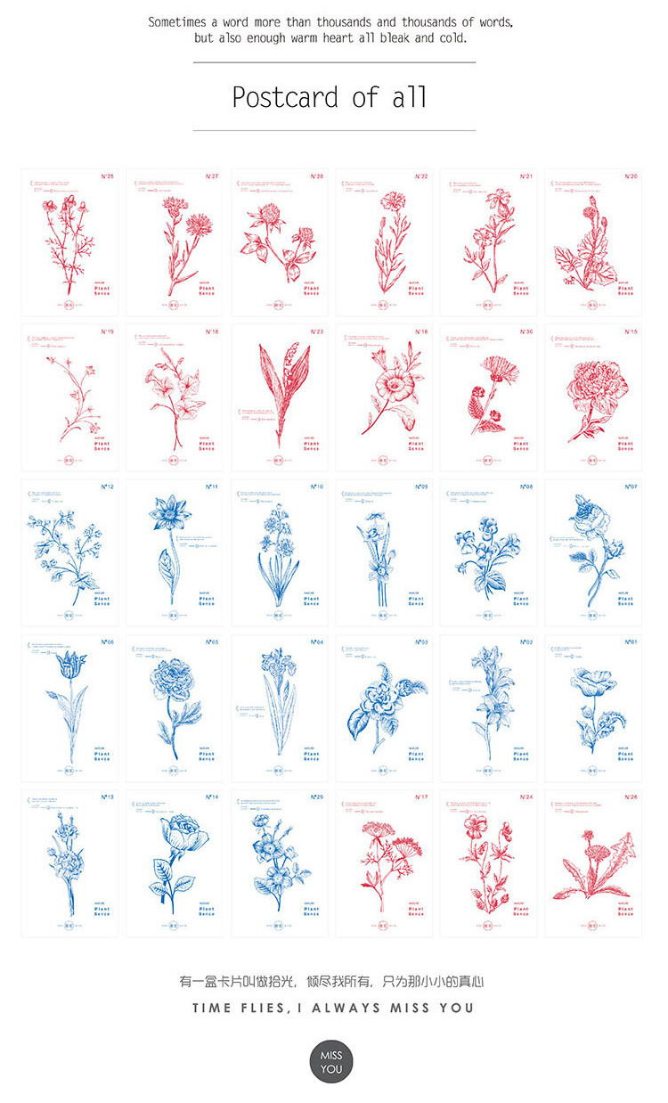 【明信片】拾光文艺清新手绘自然系草本植物明信片卡片 植觉