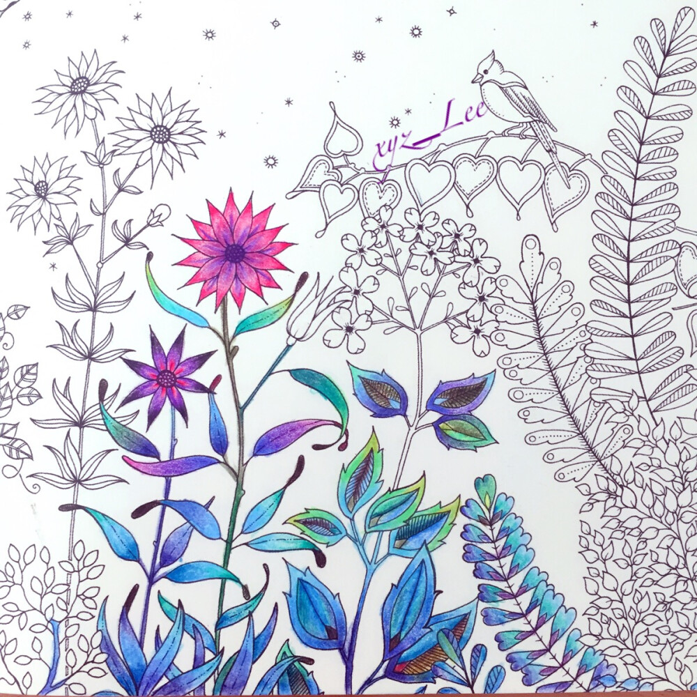 秘密花园 #秘密花园 #secret garden