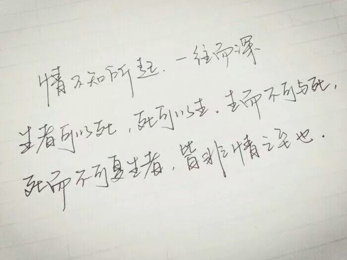 书法 美字美文美句 练字 唯美句子