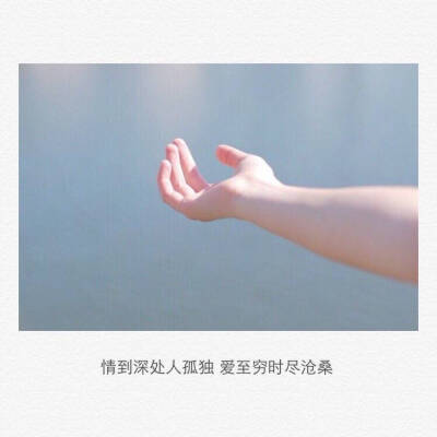 情到深处人孤独，爱至穷时尽沧桑。