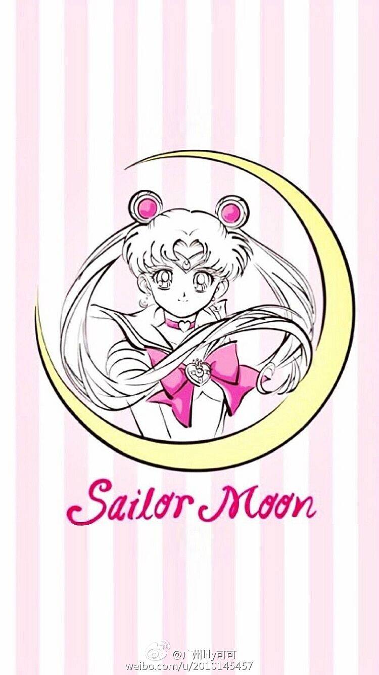 美少女战士月野兔水手月亮