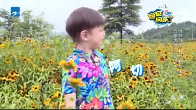 嗯哼大王 阿切 喷嚏游戏