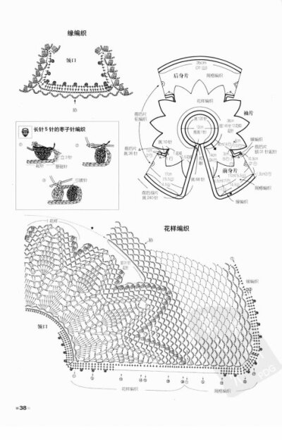 花瓣领小坎图解''