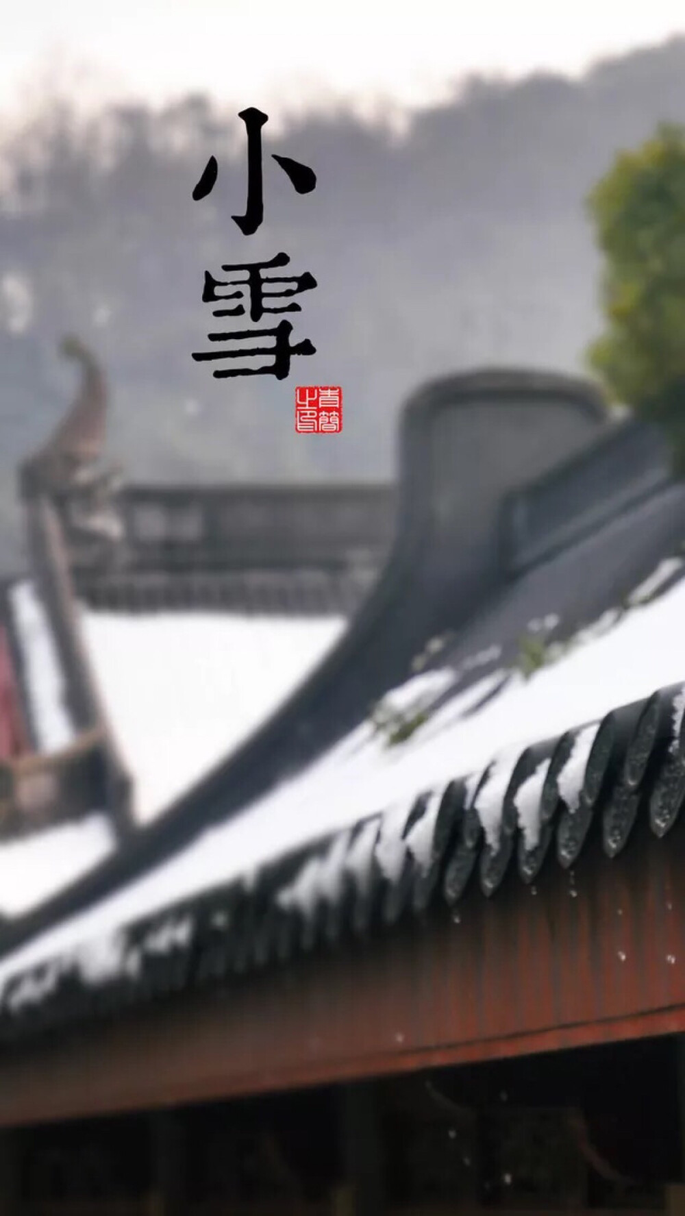 小雪