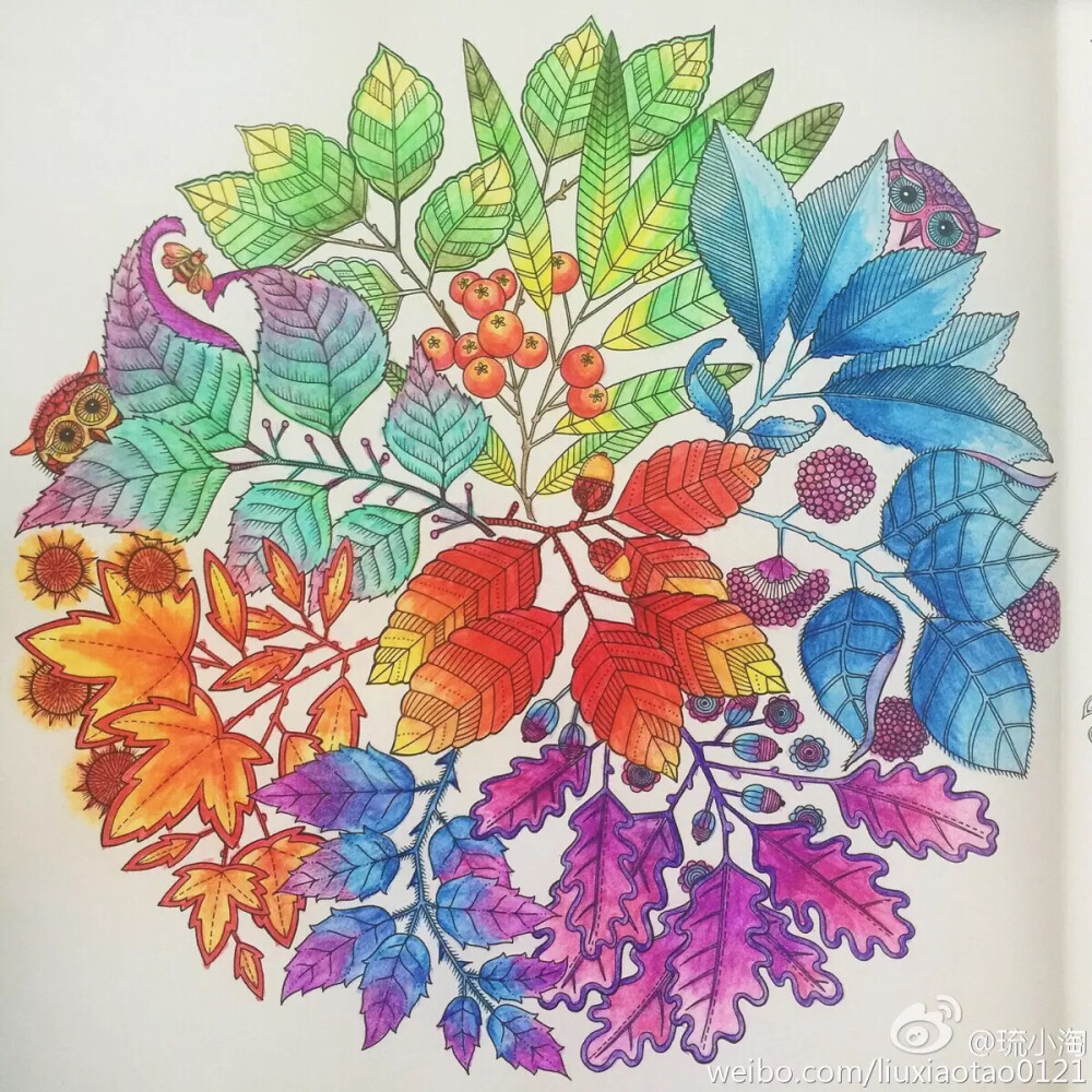 秘密花园 - 高清图片，堆糖，美图壁纸兴趣社区