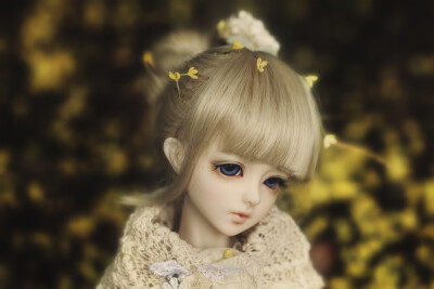  小黄花゛ BJD 娃娃