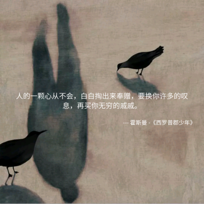 MONO诗歌 绘画插画 哲理 文字句子