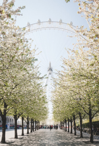 London Eye, London,UK(by Torsten Muehlbacher)。英国伦敦眼，坐落在英国伦敦泰晤士河畔，是世界上首座、同时截至2005年最大的观景摩天轮，为伦敦的地标及出名旅游观光点之一。“伦敦眼”为庆祝新千年而建造，因此…