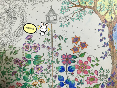 画，画，画，花，花，花，花！