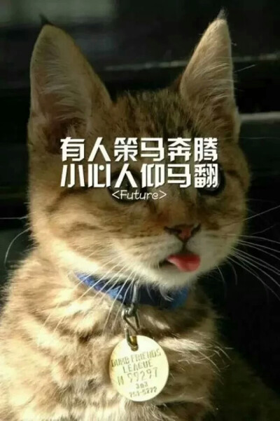 小心