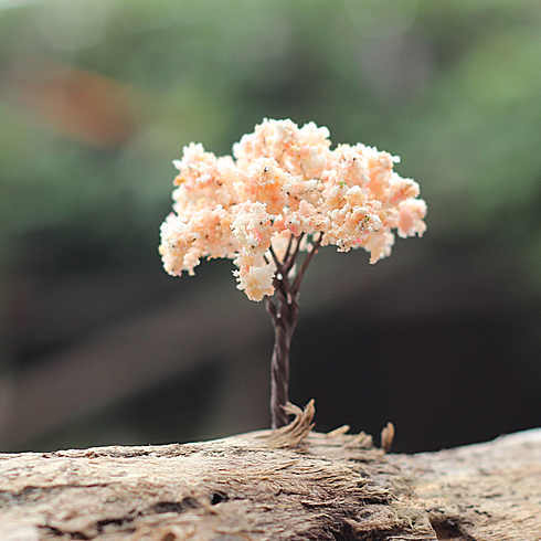 仿真迷你樱花树桃花树柳树 多肉植物苔藓微景观微景观造景摆件 给手办用会不会太大...汗 梦想礼物单(๑•ั็ω•็ั๑)