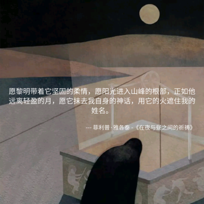 MONO诗歌 绘画插画 哲理 文字句子