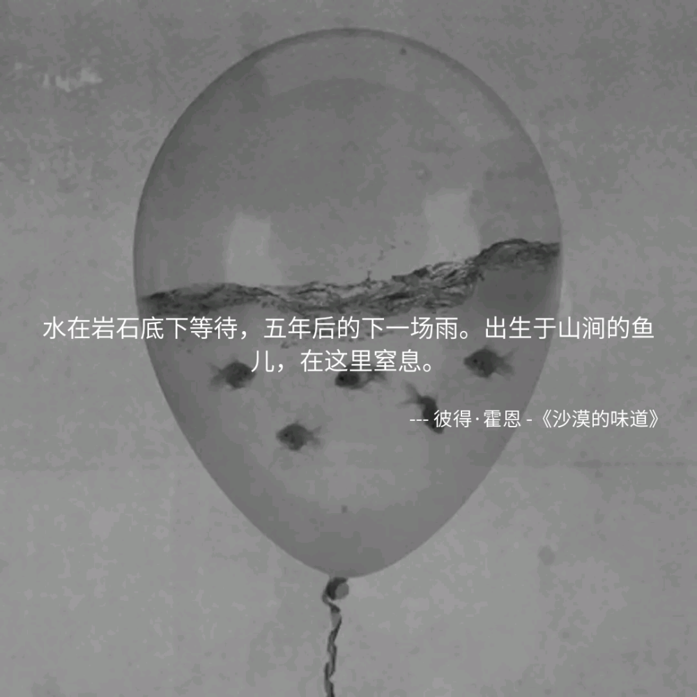 MONO诗歌 绘画插画 哲理 文字句子