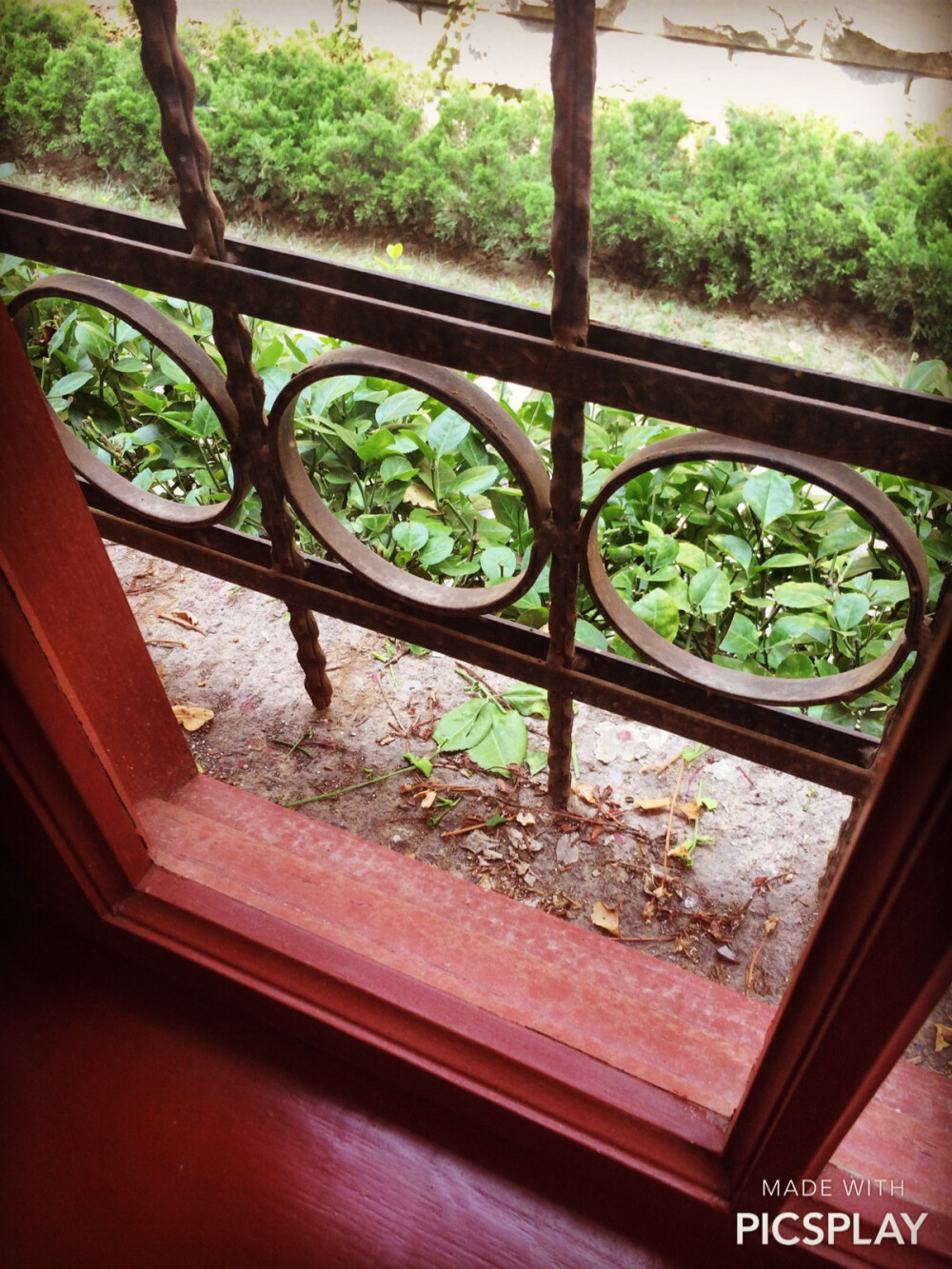 青岛 大学路 老舍故居