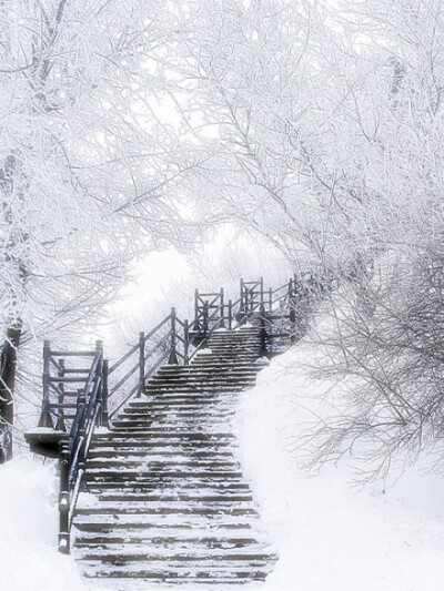 唯美雪景