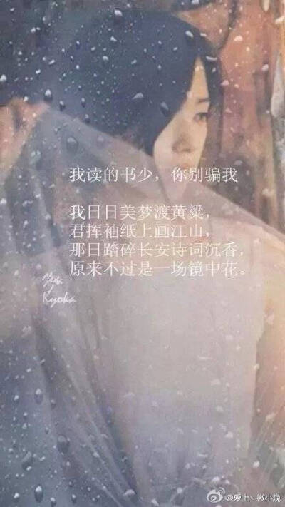 镜中花