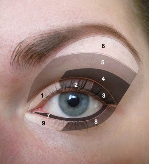 How to Do Your Eye Makeup Correctly-- FINALLY something that clearly shows where different shades are supposed to go.