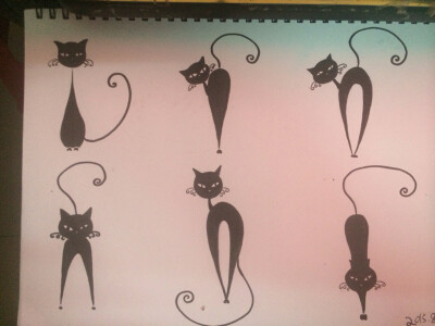 适合纹身的小黑猫、、、