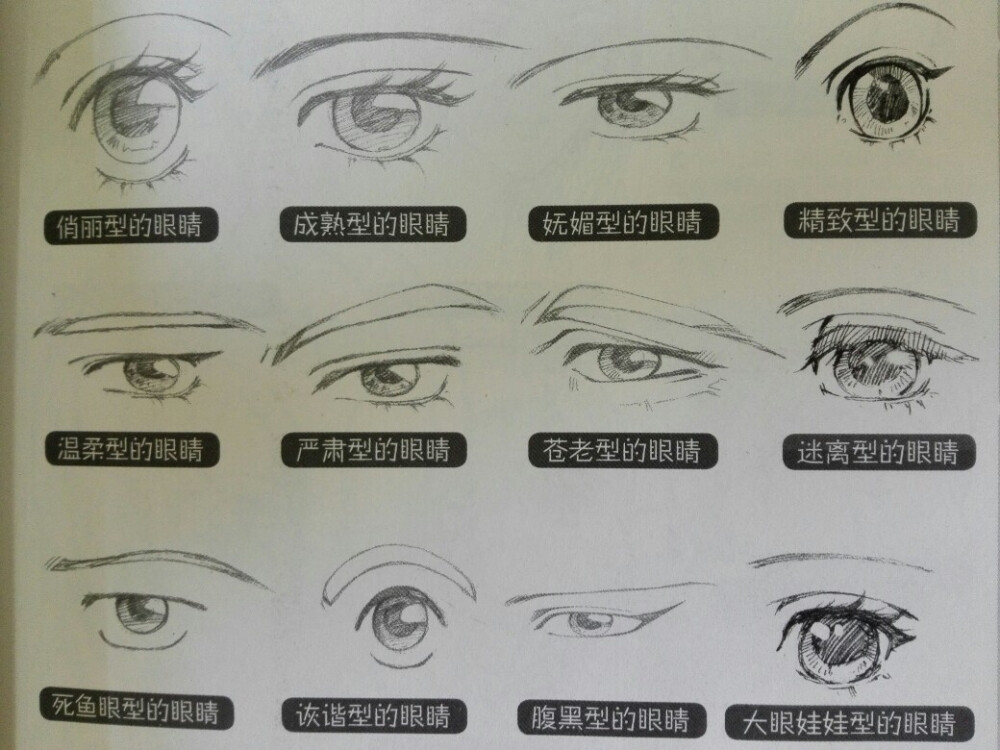 眼睛分类图 图解图片