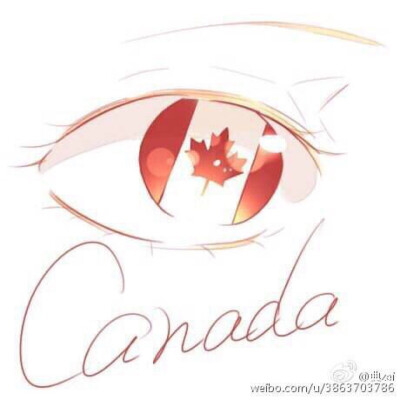 眼睛国旗加拿大