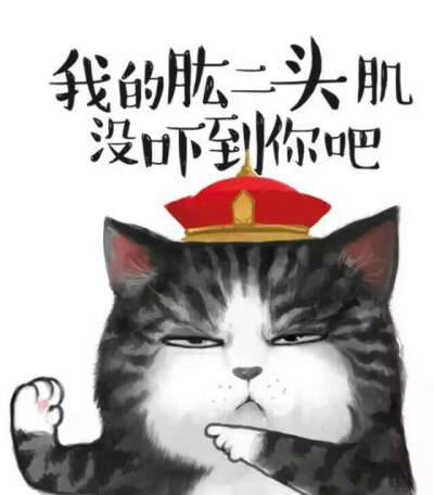 大爱言不止 猫咪 动漫 搞笑 创意 文字 可爱 壁纸 聊天背景 微信壁纸 非出自本手 勿扰 转