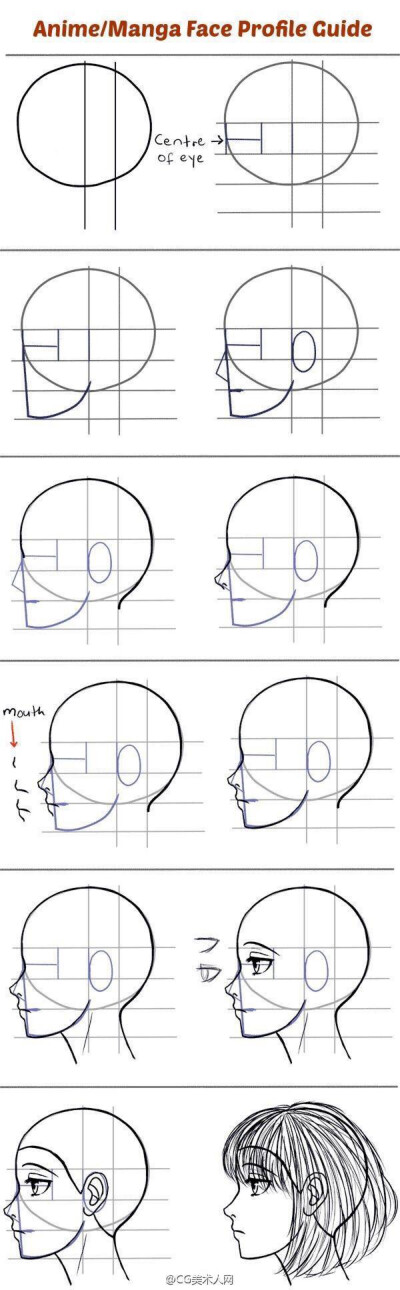 【转自微博】侧脸的画法