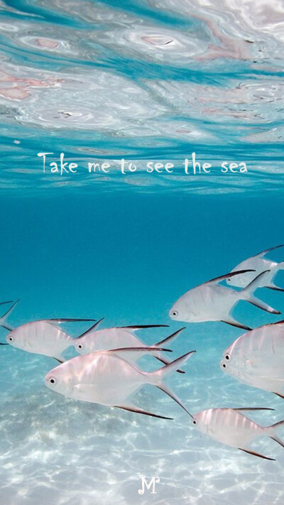 Take me to see the sea.