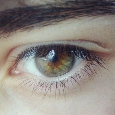 eye