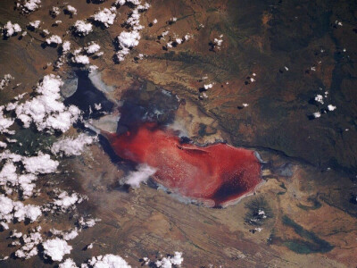 纳特龙湖(Lake Natron)，坦桑尼亚。