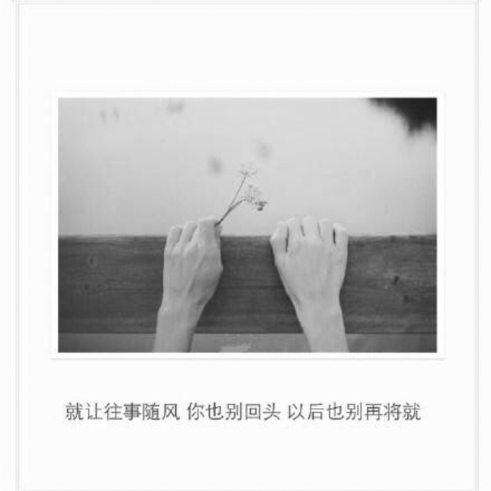 moon（图文集）