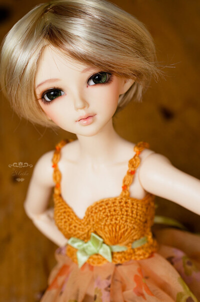 Super Dollfie 简称SD。